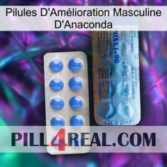 Anaconda Male Enhancement Pills 40